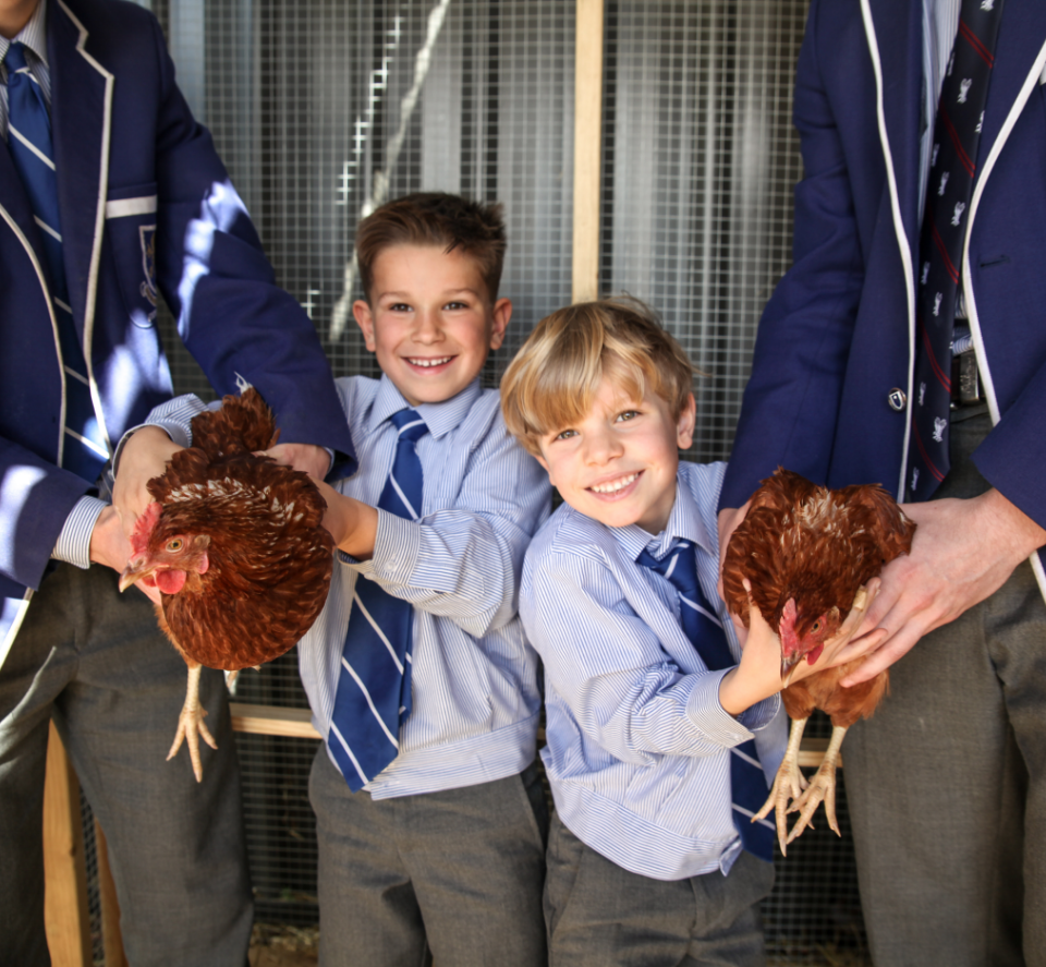 Two junior years students holding chickens for service learning activities