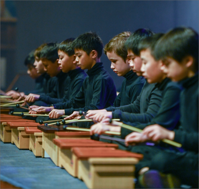 Students playing musical instruments in a concert