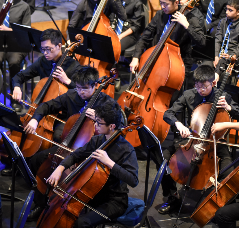 a group of students participating in a string orchestra